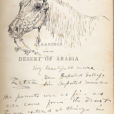 Zitra Drawing
